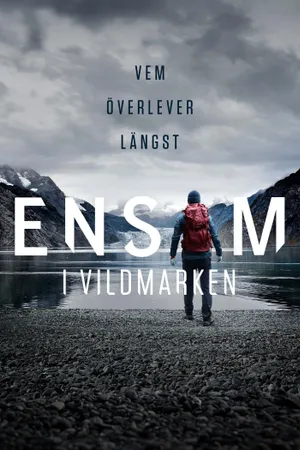 Alone Sweden Poster