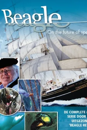 Voyage of Darwin’s Beagle Poster