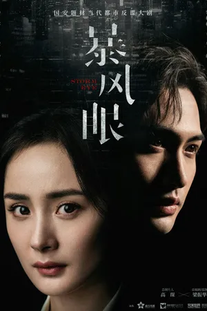 Storm Eye Poster