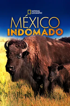 Mexico Untamed Poster