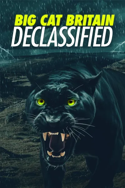 Panthera Britannia Declassified/Big Cat Britain Declassified