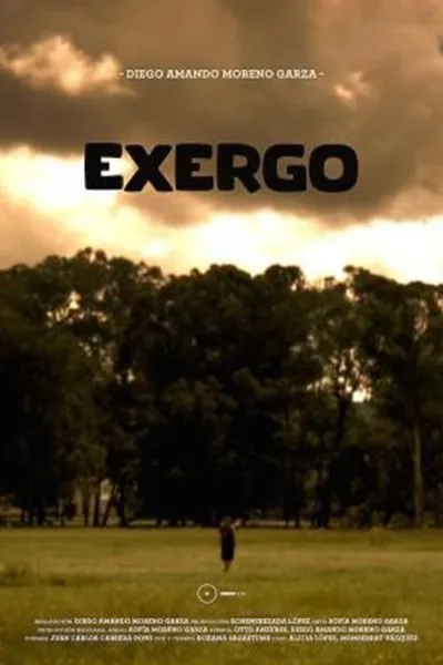 Exergo