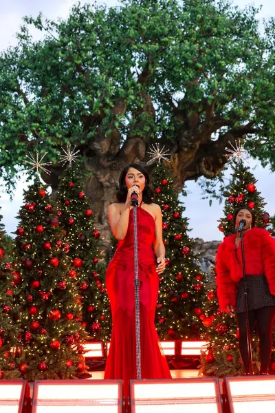Disney Parks Magical Christmas Day Parade