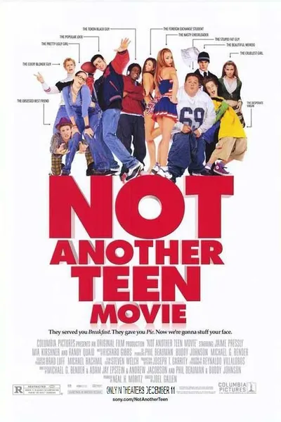 Not Another Teen Movie